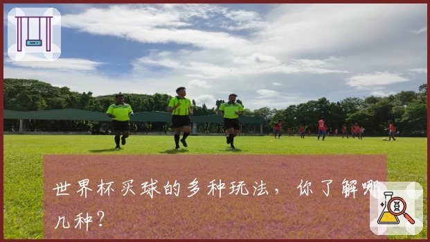 世界杯买球的多种玩法，你了解哪几种？