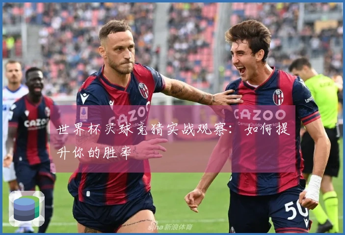 世界杯买球竞猜实战观察：如何提升你的胜率