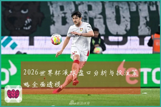2026世界杯滚球盘口分析与投注策略全面透视