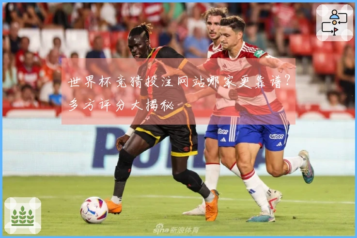 世界杯竞猜投注网站哪家更靠谱？多方评分大揭秘