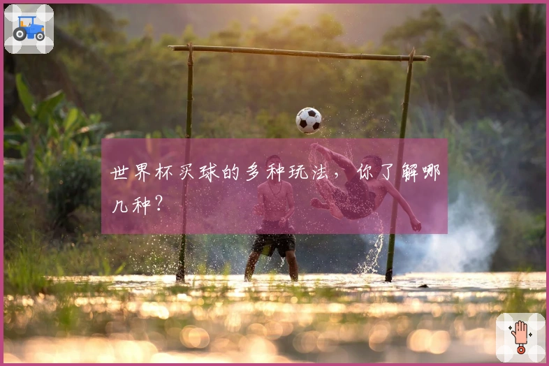 世界杯买球的多种玩法，你了解哪几种？