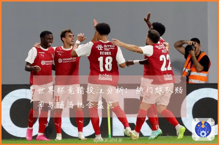 世界杯竞猜投注分析：热门球队赔率与暗马机会盘点