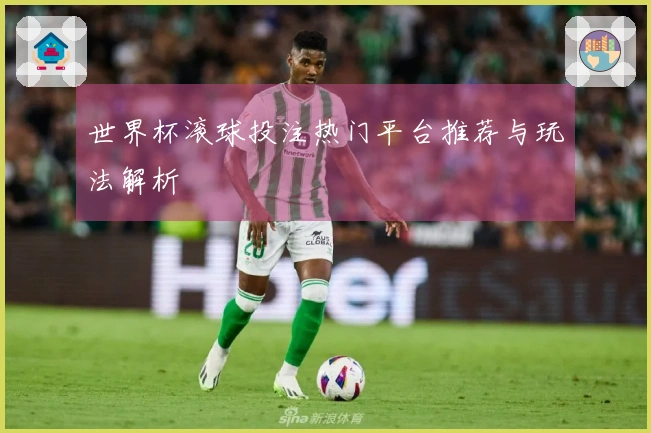 世界杯滚球投注热门平台推荐与玩法解析