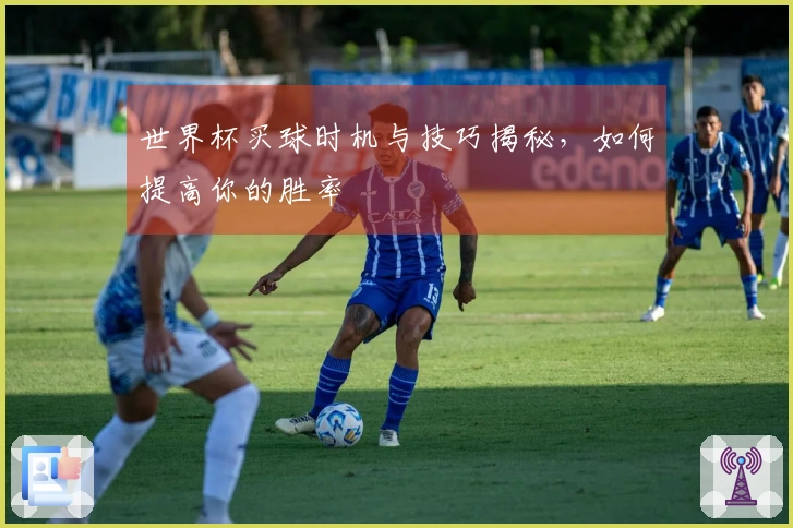 世界杯买球时机与技巧揭秘，如何提高你的胜率