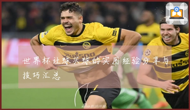 世界杯让球买球的实用经验分享与技巧汇总
