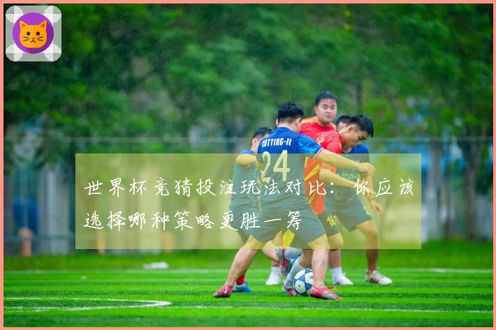 世界杯竞猜投注玩法对比：你应该选择哪种策略更胜一筹