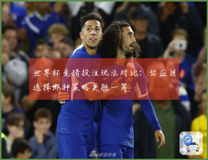 世界杯竞猜投注玩法对比：你应该选择哪种策略更胜一筹