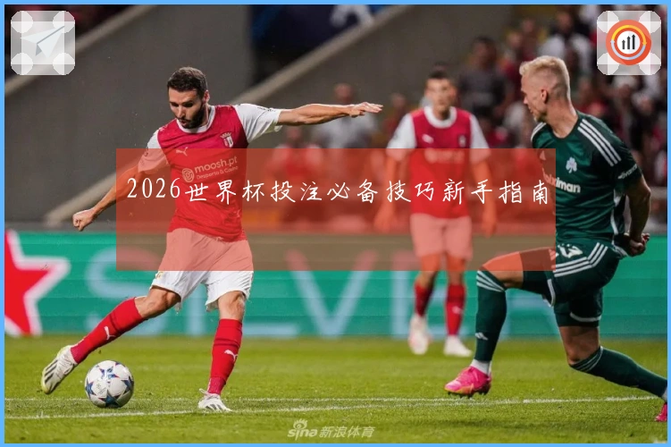 2026世界杯投注必备技巧新手指南