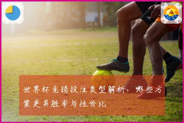 世界杯竞猜投注类型解析，哪些方案更具胜率与性价比